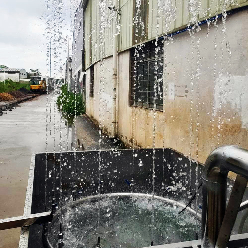 Пӯлоди зангногир шохони хурди мусиқии мусиқӣ