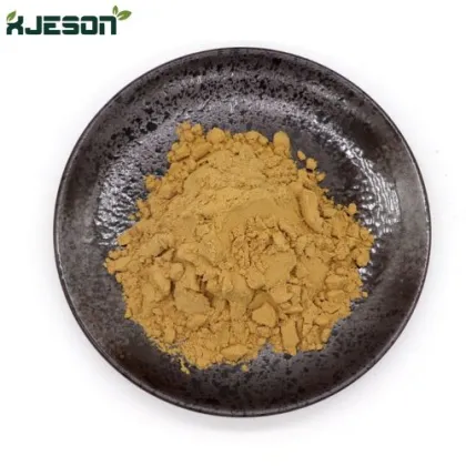 XJeson Hawthorn Extract Hawthorn 5%-30% Flavonoids