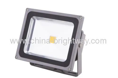 20w Cob Led Floodlight Epistar 