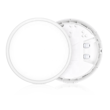 Europe IP66 IK10 Motion Sensor Outdoor Ceiling Light