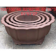 Yixing a nivel local Bonsai Pots en venta