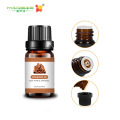 Buy Premium Quality Cinnamon Bark Essential Oil