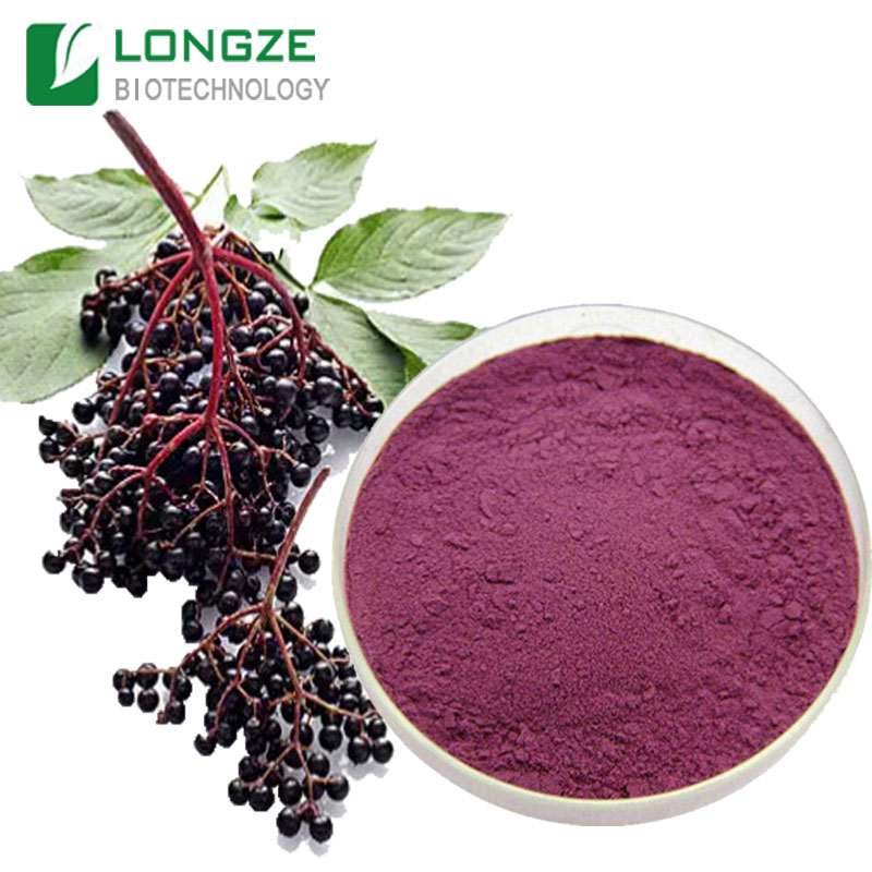 Longze Black Elderberry Fruit Juice Powder