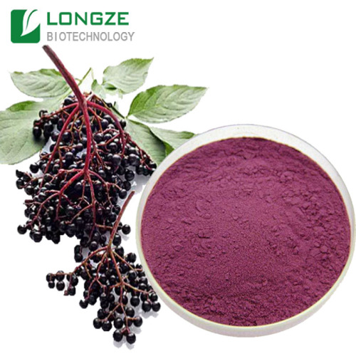 Longze Black Elderberry Fruit Juice Powder