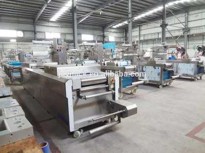 sliced salami packaging machine