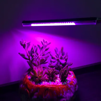 Weixinli T8 LED Grow Lamp for Horticulture and Greenhouse Plant Lighting
