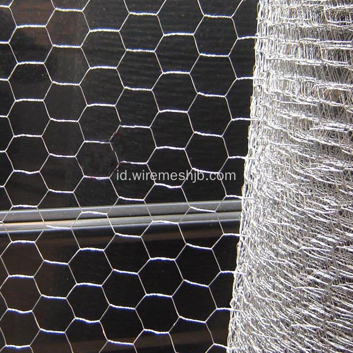 Electro Galvanized Hexagonal Wire Nettings