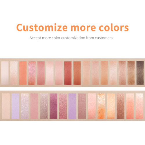 Wholesale Makeup 10 Colors Eyeshadow Palette Case
