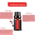 High Quality Plum Blossom Oil Aroma Fragrance Diffusers