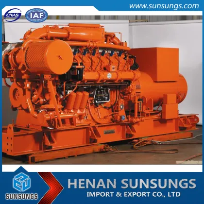 Biogas fermentation biogas storage and biogas power generator supplier