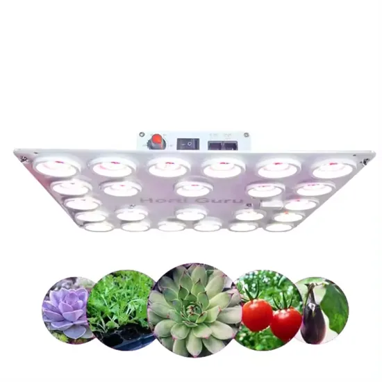 Best 100W Full Spectrum Samsung LM301H EVO LED Grow Light for Indoor Plants