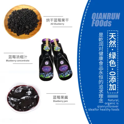 Sugar Dried Blueberries - No added cane sugar