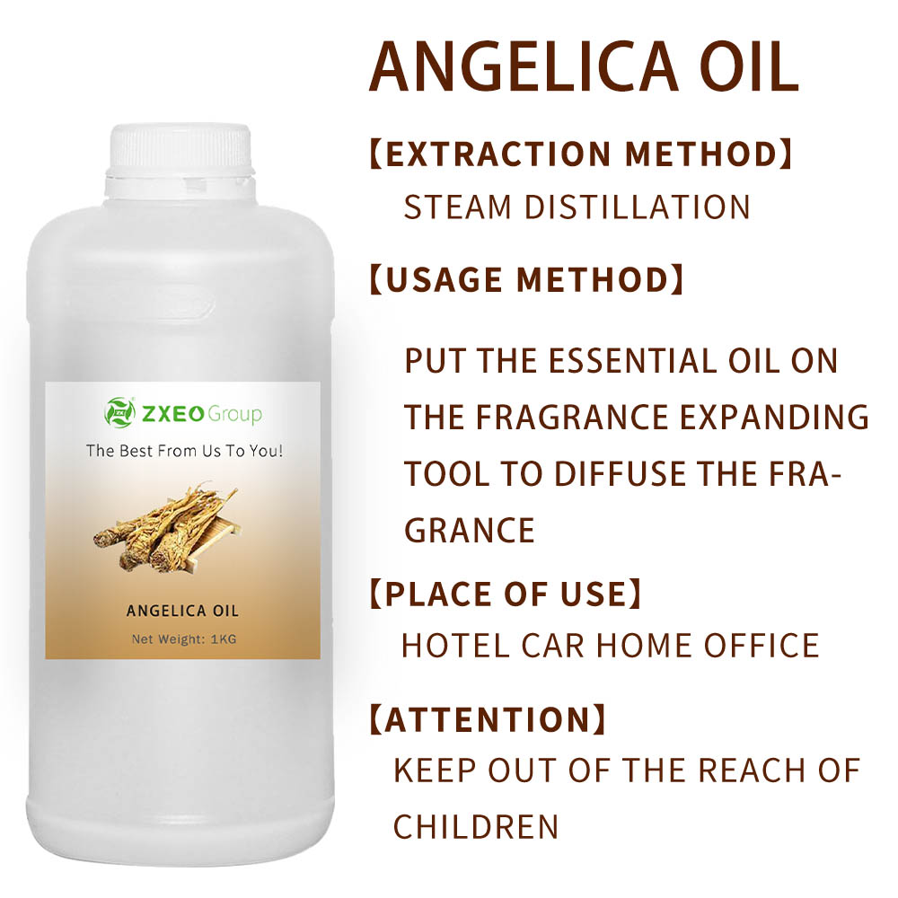 Natureza pura Angelica Oil Steam Destilação para suavizar a massagem