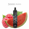 10 fruits cigarettes électroniques à stylo vape jetable