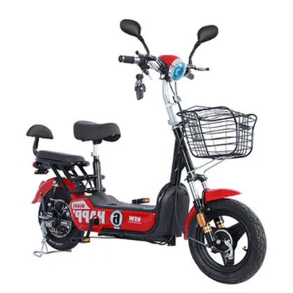 2-Seat 350W Electric Utility Vehicle: Scooter Bicycle for Uomo