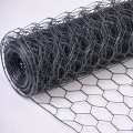 Galvanisé Hexagonal Fir Filting Netting Poulet Mesh Fence