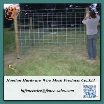 1.2m sheep fence