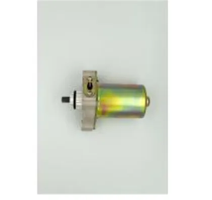 top sale Piaggio Motorcycle Starter Motor