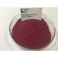 Natural Elderberry Juice Powder