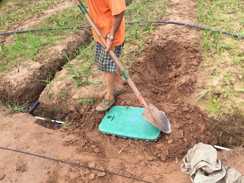 Chongqing Qingcheng Agriculture's Hechuan Drip Irrigation Project Passes Acceptance Inspection, Client Praises Service Quality!