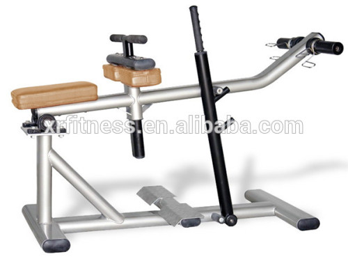 machine Seated Calf Raise( XR39)