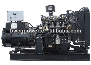 Chinese Manufacturer! 12kVA Diesel Generator Set