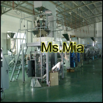 machine for packing spices