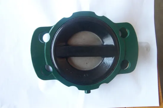 High Performance 800 Series Gg25 / Ggg40 Duo Check Valve With Nbr / Epdm / Viton Seat