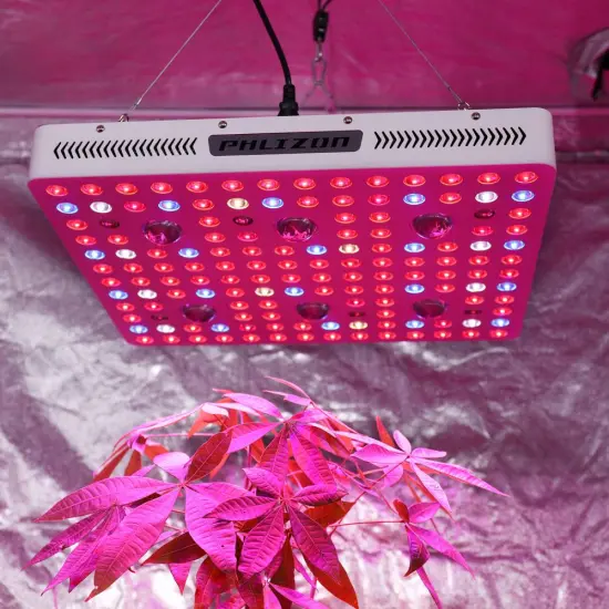 Full spectrum panel with led grow light
