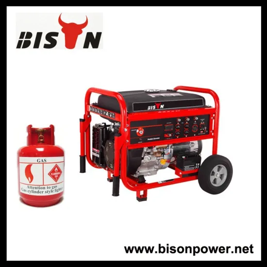 BISON(CHINA) Copper Wire Key Start With Battry LPG Electric Generator