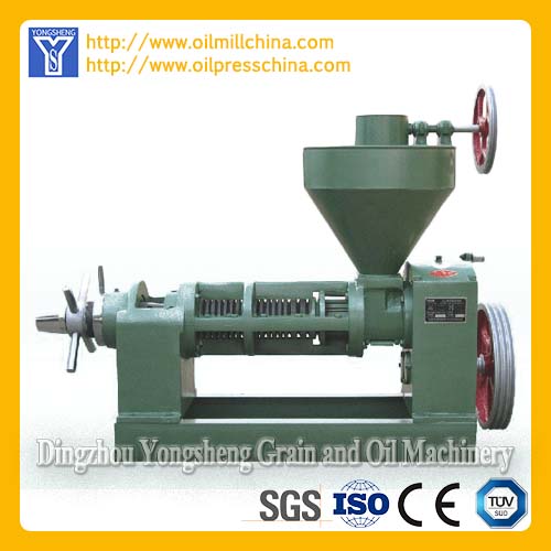 Sunflower Oil Equipment