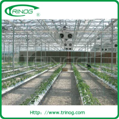 High tech hydroponics greenhouse for sale