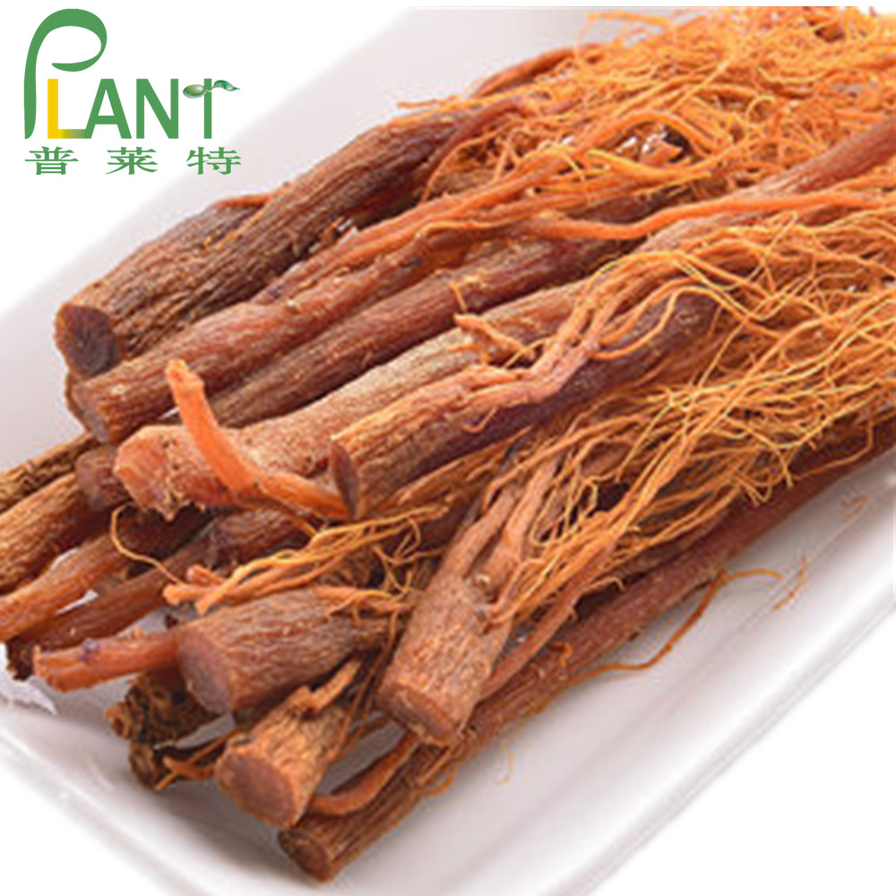 Korean Red Ginseng Extract Powder