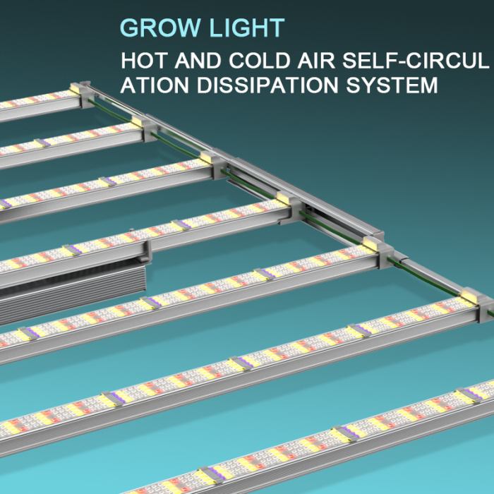 Spettro completo Crea luce per orticoltura verticale 1000W