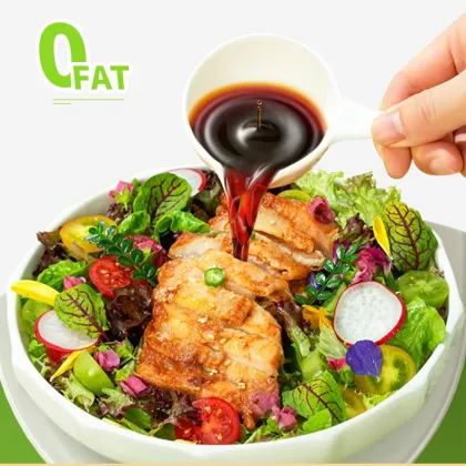 HADAY 500ml Steaming Sauce - Chinese Dipping Sauce for Steaming Foods