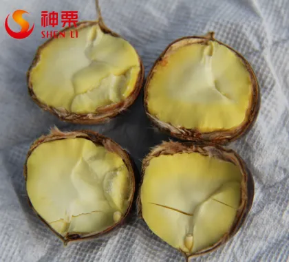 Sweet Raw fresh chestnut for sale---- bulk fresh raw chestnut