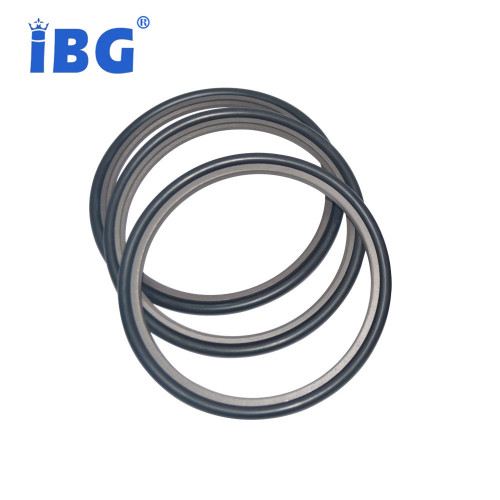Auto Parts Step Seal Ring Teflon/PTFE&NBR