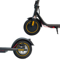 Escooter 350w in Standing Scooter For Adults
