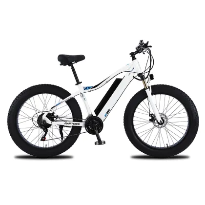 750W Focus E-Bike Bosch Battery Conversion Kit: Enhancing Your Electric Bicycle Experience
