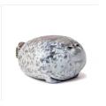 Realistic Sea World animal seal stuffed animal