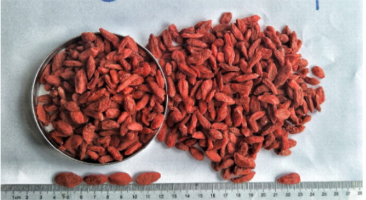 Low Pesticide Hot sale Gedroogde goji-bes / wolfberry