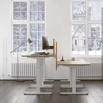 Single Motor Electric Height Adjustable Ergonomic Desk
