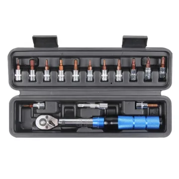 VIKTEC 1/4 2-15N.m Bike Torque Wrench Set