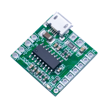 Scheda di amplificatore di potenza di classe D 5V PPAM8403 DUPAGGIO CON MODULO AUDIO BT