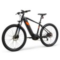 EU Lagerhaus am bequemsten Ebike