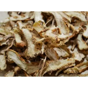 Rhizoma Anemarrhenae Extract