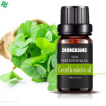 Supply Raw Materials Skincare Oils Centella Asiatica Oil