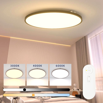 Ultra Thin Ceiling Smart Light for Sitting Room with Tuya App and Voice Control