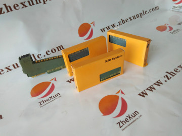 B&R Automation  Module X20BR9300