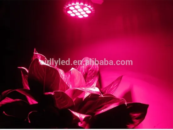 Cidly e27 PAR 38 led grow lights, led lighting for Indoor Plants, factory price, 3 yrs full warranty